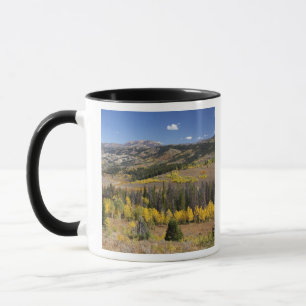 Bridger-Teton National Forest Mug