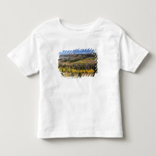 Bridger-Teton National Forest Toddler T-Shirt