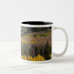 Bridger-Teton National Forest Two-Tone Coffee Mug