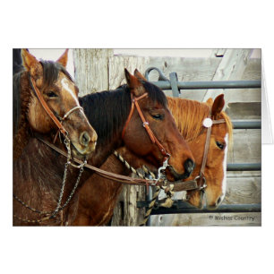 Bridled Horse Heads