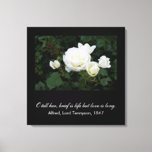 Brief is life but love is long (Tennyson quote) Canvas Print