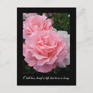Brief is life but love is long (Tennyson quote) Postcard