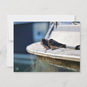Briefcard Postcard