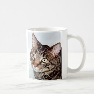 Briggs Cat Mug