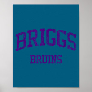 Briggs High School Hs Columbus Artwork Poster