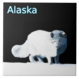 Bright Arctic Fox Ceramic Tile