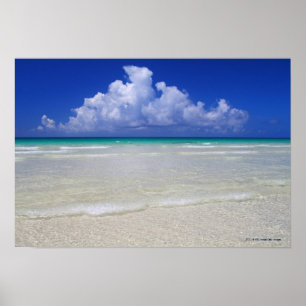 Bright beach poster