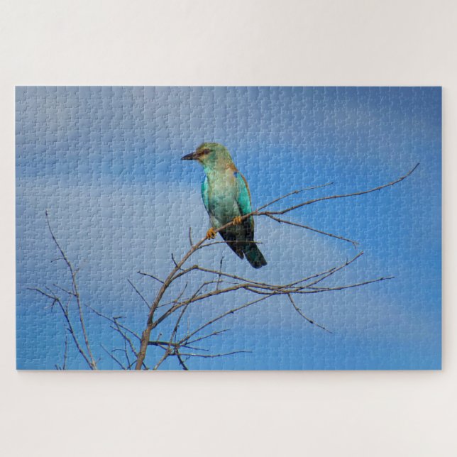 bright bird jigsaw puzzle (Horizontal)