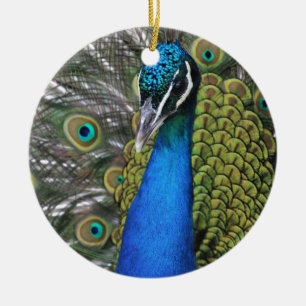 Bright Blue and Green Peacock w Feathers Opened Ceramic Ornament