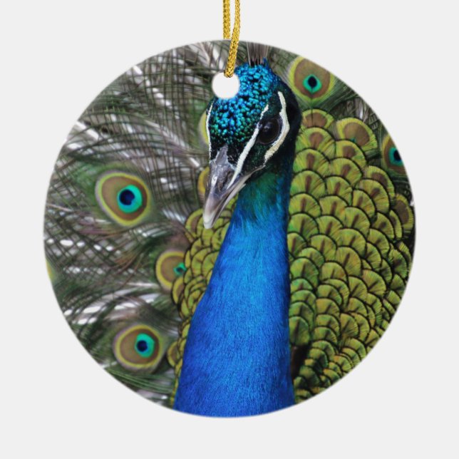 Bright Blue and Green Peacock w Feathers Opened Ceramic Ornament (Front)