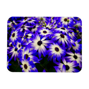 Bright Blue and White Digital Flowers Magnet