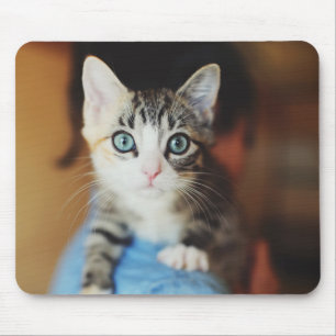 Bright Blue Eyed Kitten Mouse Pad