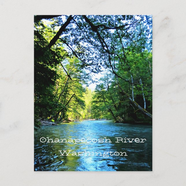Bright Blue River Under Green Trees in Washington Postcard (Front)