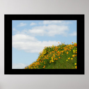 Bright Blue Sky Day prints Poppies Flowers Clouds