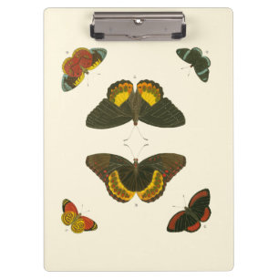 Bright Butterflies by Pieter Cramer Clipboard