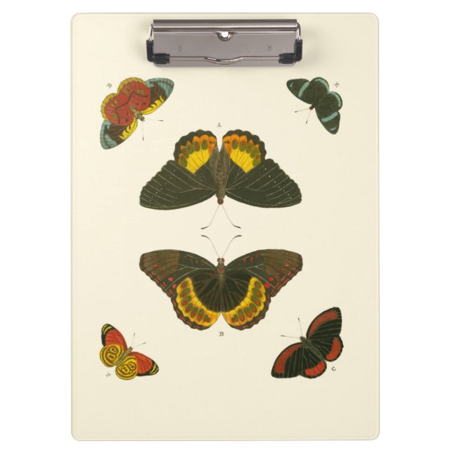 Bright Butterflies by Pieter Cramer Clipboard (Front)