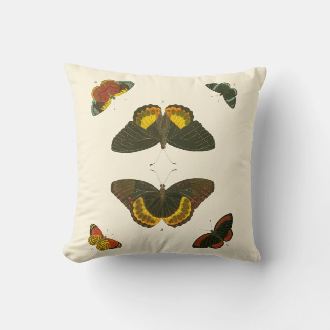 Bright Butterflies by Pieter Cramer Cushion (Front)