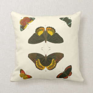 Bright Butterflies by Pieter Cramer Cushion