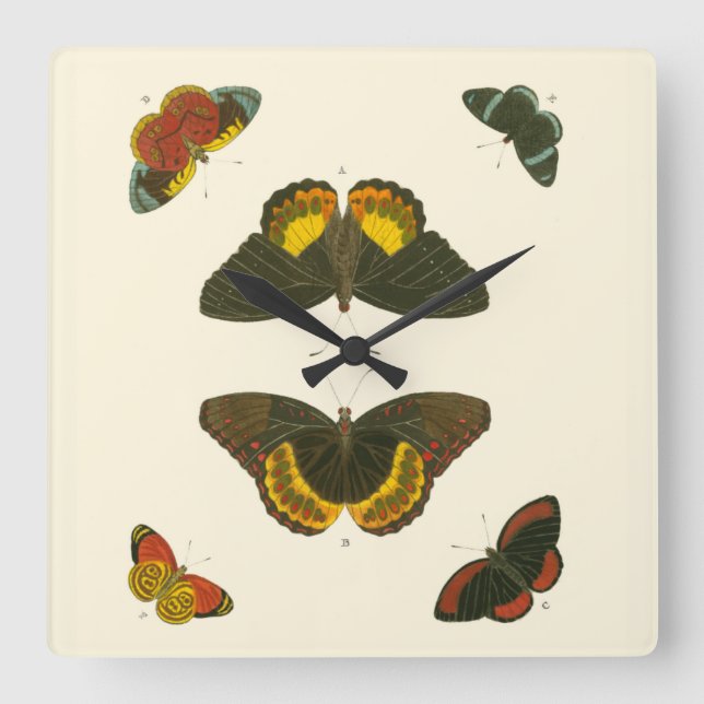 Bright Butterflies by Pieter Cramer Square Wall Clock (Front)