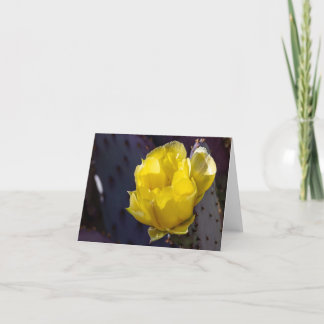 Bright Cactus Blossom Blank Card