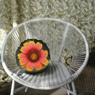 Bright Colorful Gaillardia Sunflower Round Cushion