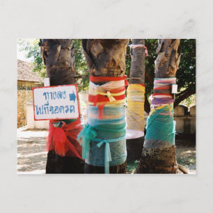 Bright Coloured Cloth Tied Around Trees Postcard