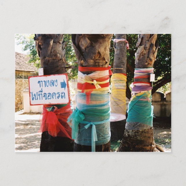 Bright Coloured Cloth Tied Around Trees Postcard (Front)