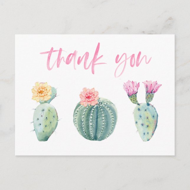 Bright colourful cacti thank you note girlfriends postcard (Front)