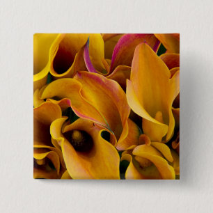 Bright colourful calla lilies at the 15 cm square badge