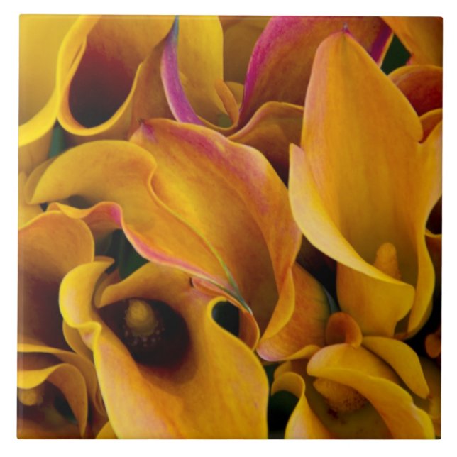 Bright colourful calla lilies at the ceramic tile (Front)