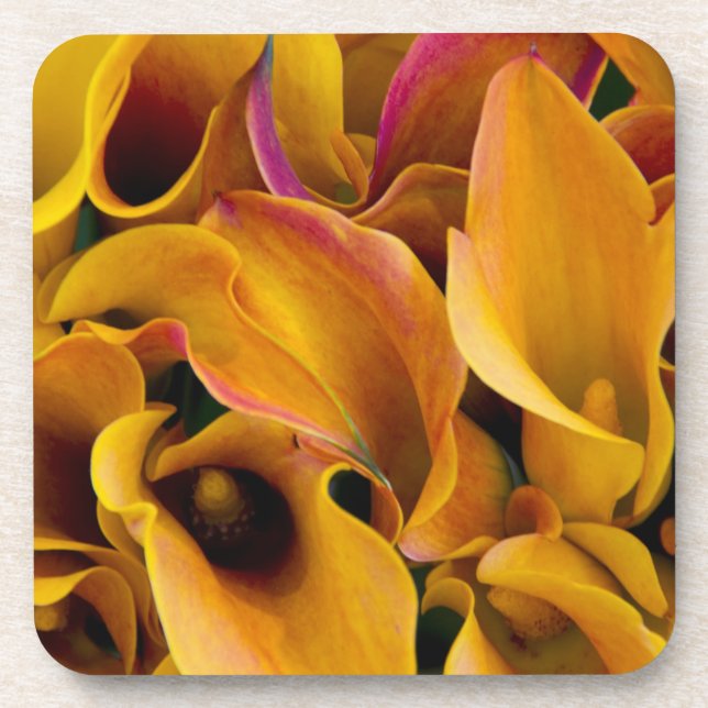 Bright colourful calla lilies at the coaster (Front)