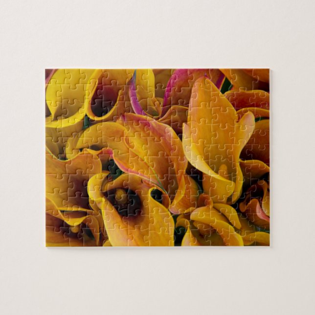 Bright colourful calla lilies at the jigsaw puzzle (Horizontal)