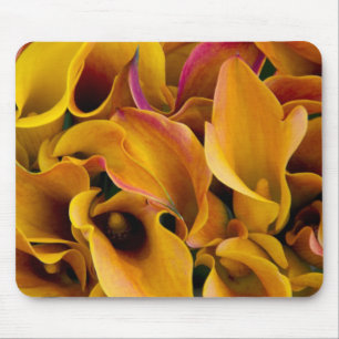 Bright colourful calla lilies at the mouse pad