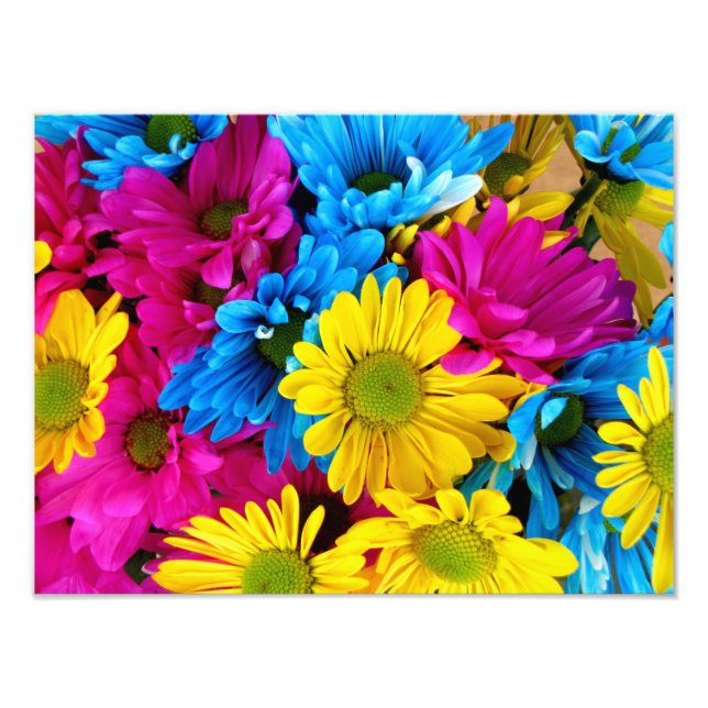 Bright Colourful Daisies Photo Print (Front)