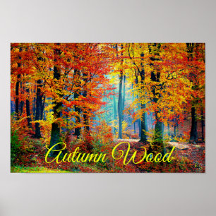 Bright Colourful Fall Forest Trees Poster
