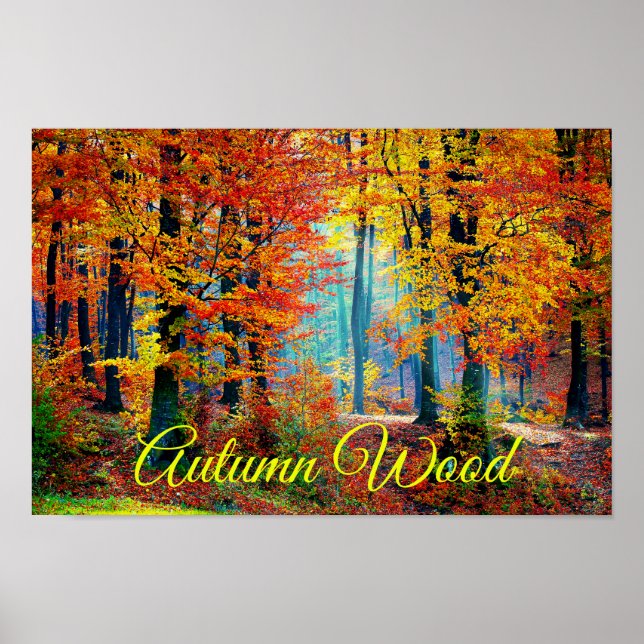 Bright Colourful Fall Forest Trees Poster (Front)