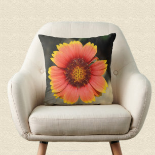 Bright Colourful Gaillardia Sunflower Floral Cushion