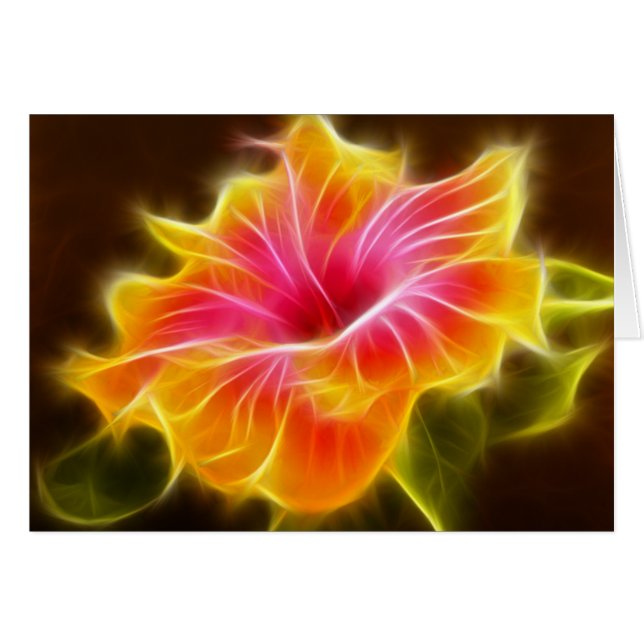 Bright Colourful Hibiscus Flower (Front Horizontal)