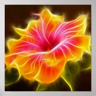 Bright Colourful Hibiscus Flower Poster