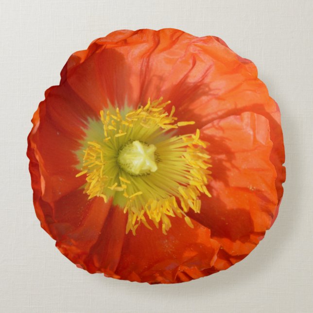 Bright Colourful Orange Tangerine Poppy Flower Round Cushion (Front)
