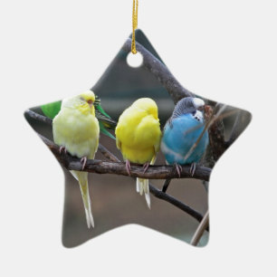 Bright Colourful Parakeets Budgies Parrots Birds Ceramic Tree Decoration