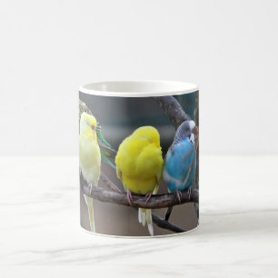 Bright Colourful Parakeets Budgies Parrots Birds Coffee Mug