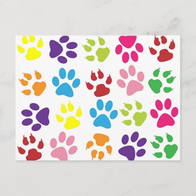 Bright Colourful Paw Prints Pattern Postcard (Front)