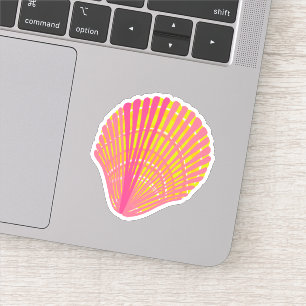 Bright Colourful Seashell  