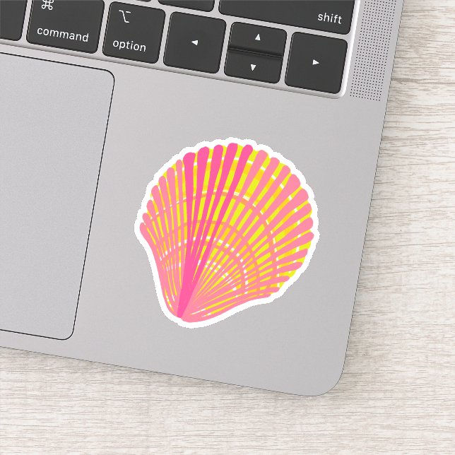 Bright Colourful Seashell   (Detail)