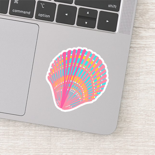 Bright Colourful Seashell  (Detail)