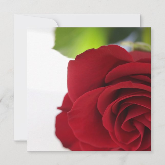Bright Colours Red Rose Your Text Flat Card (Front)