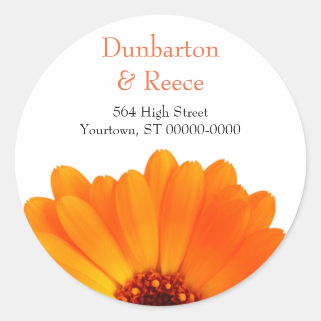 Bright Daisy Stickers (Front)