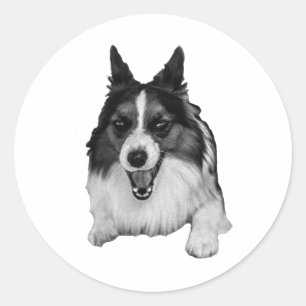 Bright Ears, Merry Mood Classic Round Sticker