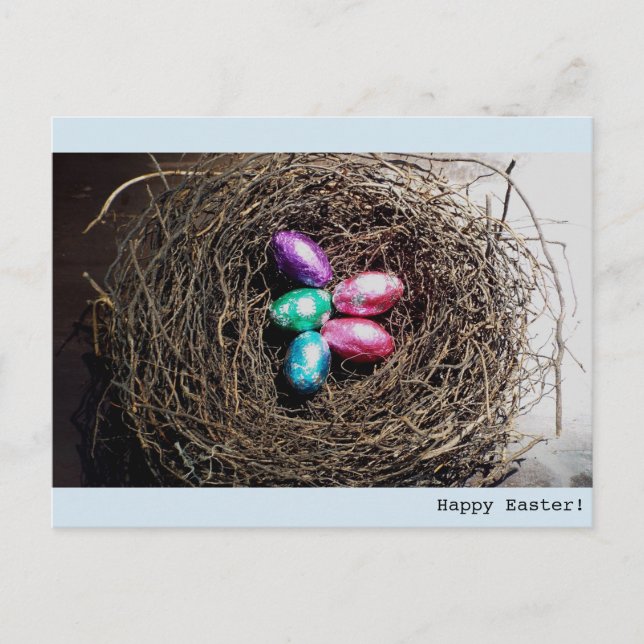 Bright Easter eggs in real bird's nest photograph Holiday Postcard (Front)